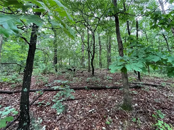 Lot 3, Block 6 Dunstable Drive, Bella Vista, AR 72714