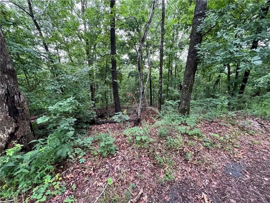 Lot 3, Block 6 Dunstable Drive, Bella Vista, AR 72714 - #2