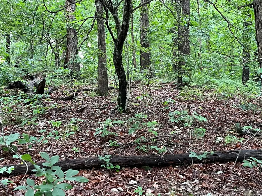 Lot 3, Block 6 Dunstable Drive, Bella Vista, AR 72714 - #3