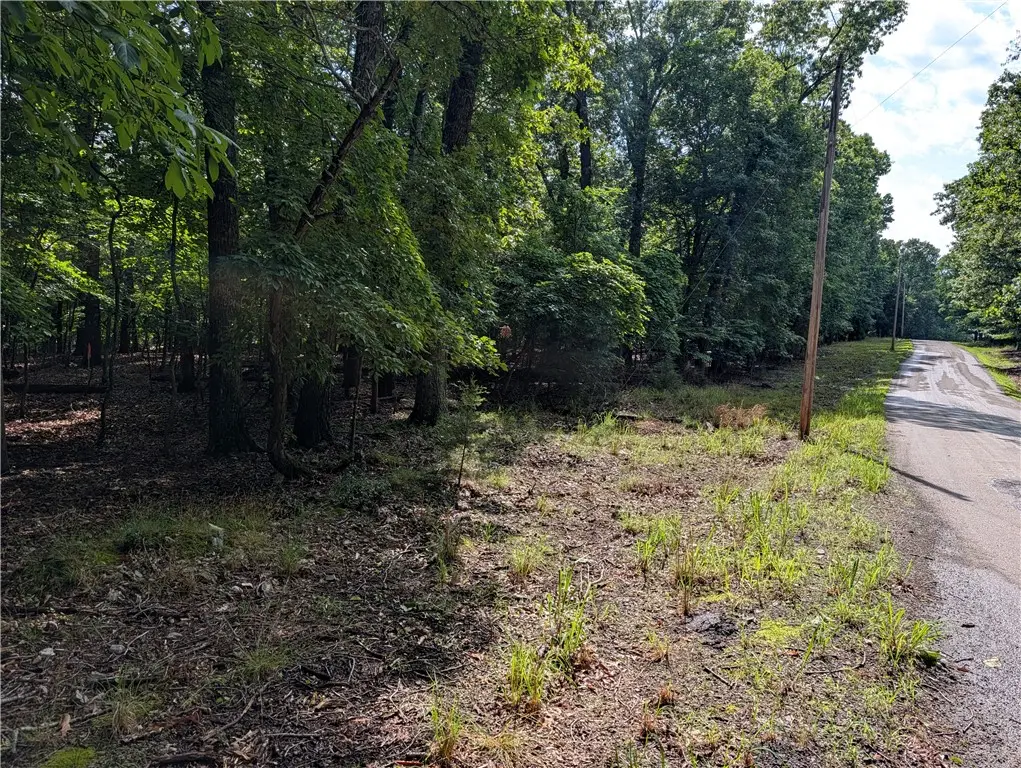 205-00001-009 Mc 8001 Road, Yellville, AR 72687 - #1