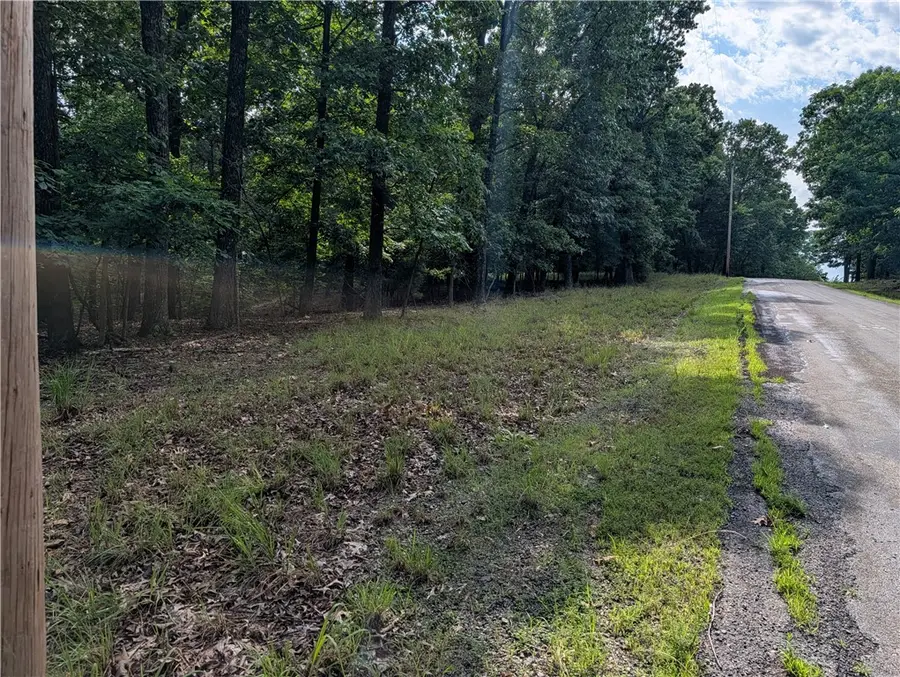 205-00001-009 Mc 8001 Road, Yellville, AR 72687 - #2