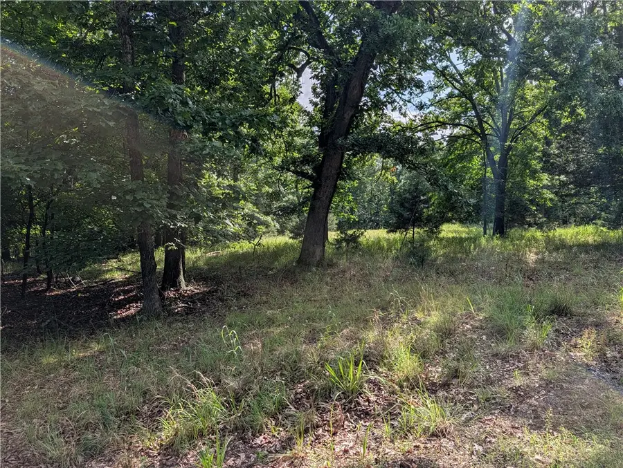 205-00001-009 Mc 8001 Road, Yellville, AR 72687 - #3