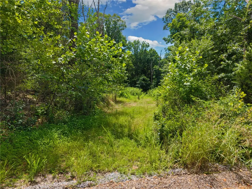 TBD Hodge Lane, Gravette, AR 72736 - #1