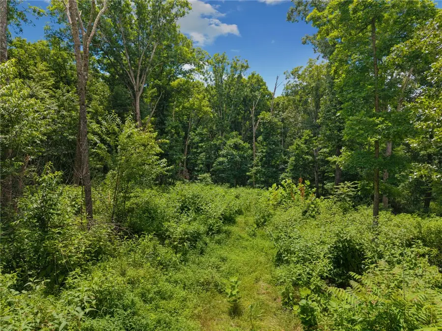 TBD Hodge Lane, Gravette, AR 72736 - #2