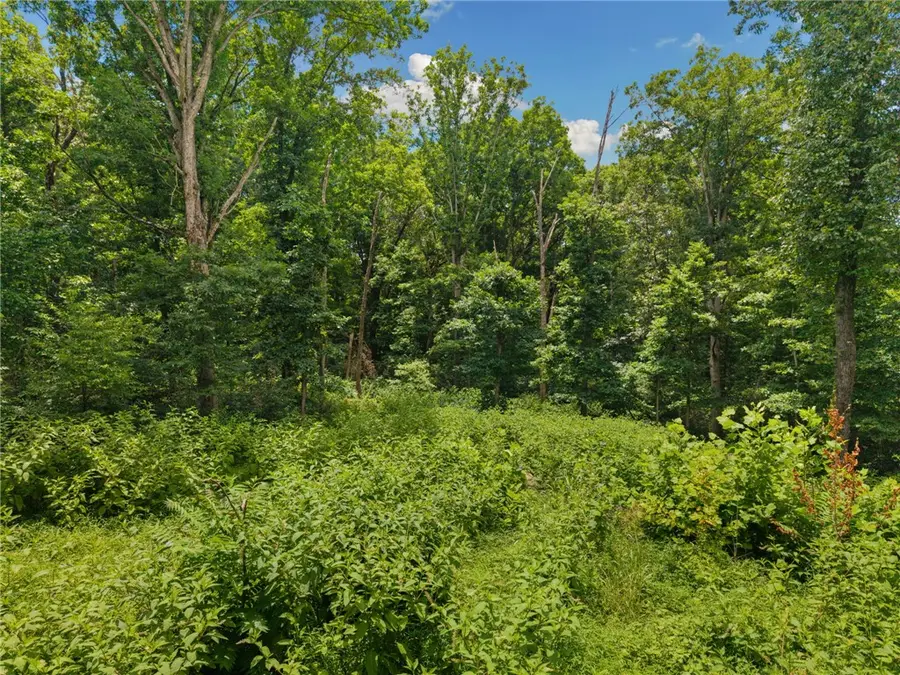 TBD Hodge Lane, Gravette, AR 72736 - #3