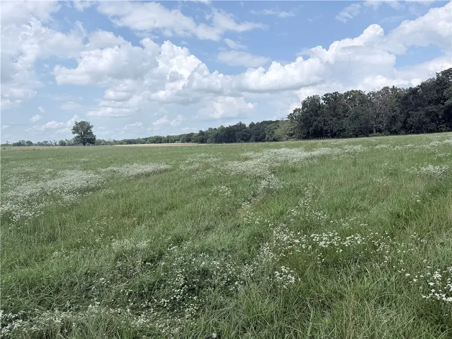 State Line Road, Maysville, AR 72747 - #2