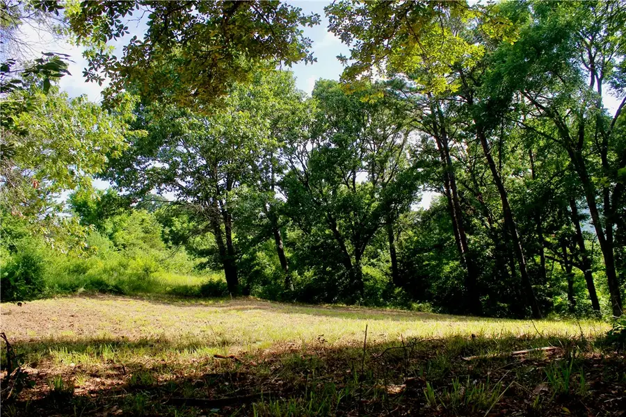 500 County Road 241, Eureka Springs, AR 72632 - #2