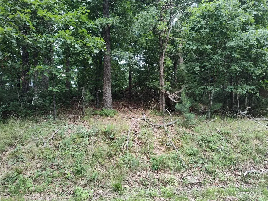 Forfar Circle, Bella Vista, AR 72715 - #1