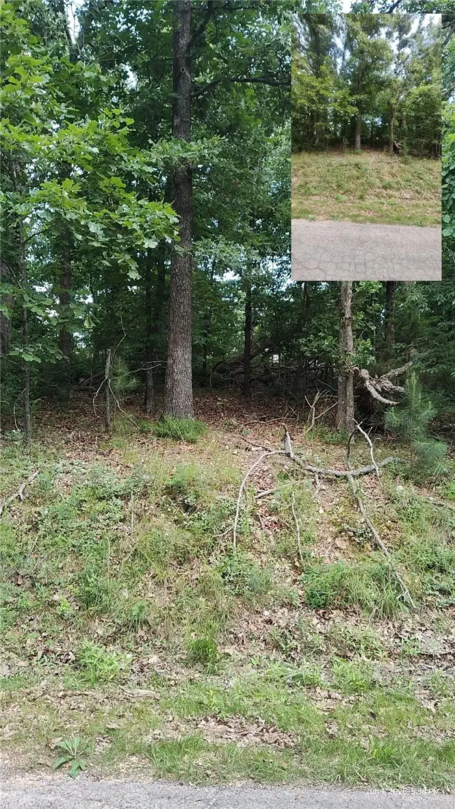 Forfar Circle, Bella Vista, AR 72715 - #3