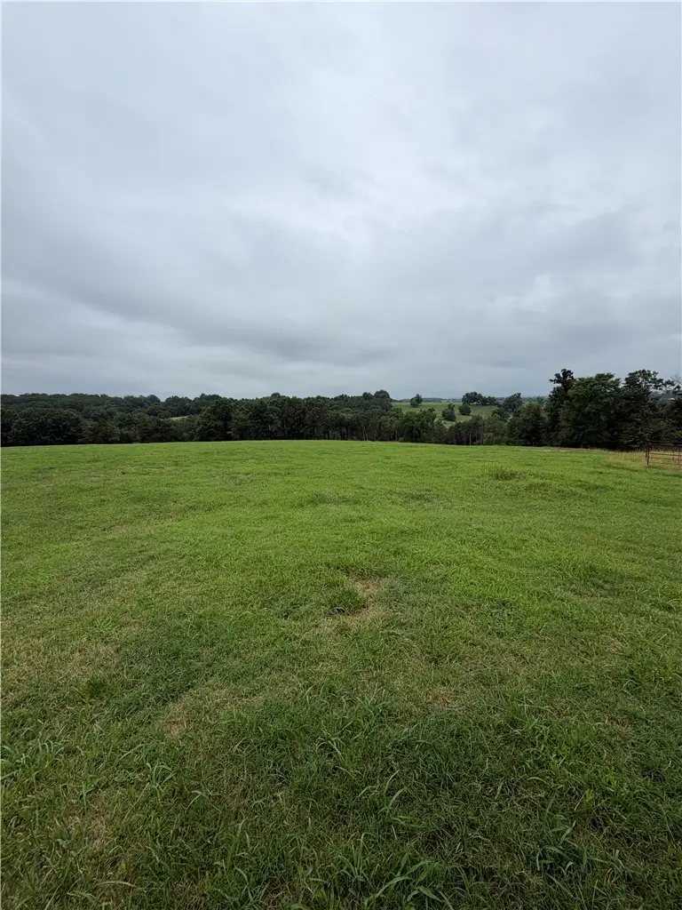 TBD Cr 440, Berryville, AR 72616 - #1