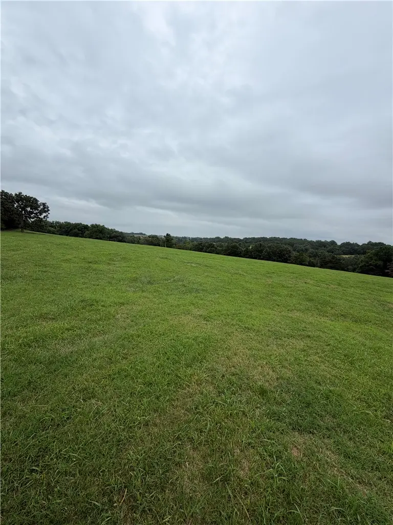 TBD Cr 440, Berryville, AR 72616 - #2
