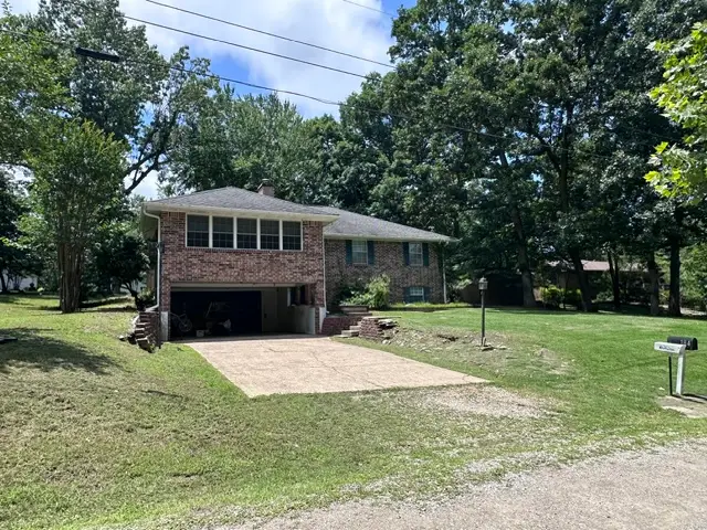 184 Nubbin Ridge Trail, Lakeview, AR 72642 - #1