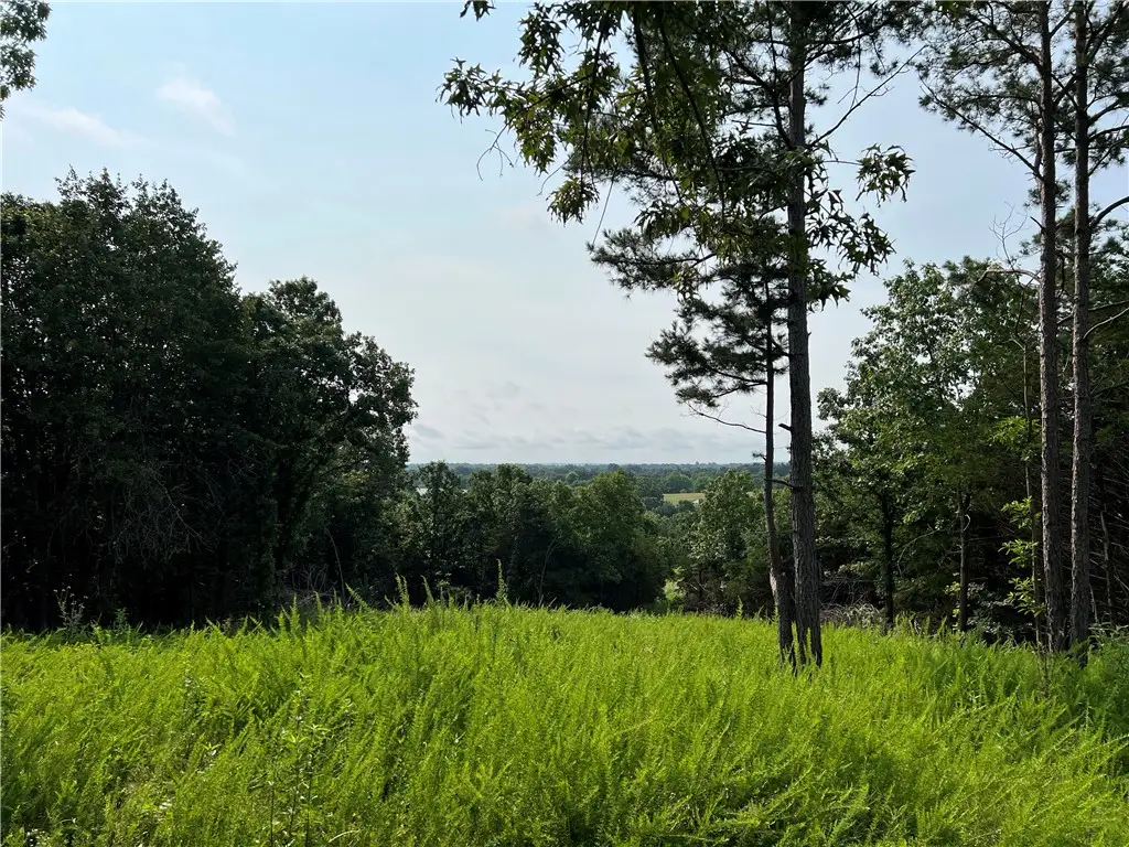 N Center Loop, Harrison, AR 72601 - #1