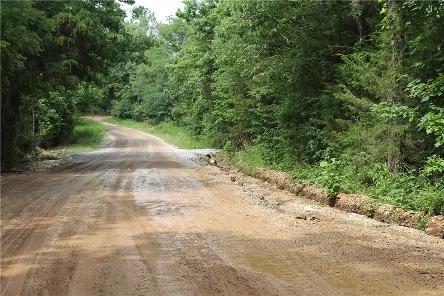 19813 Pug Gayer Road, Fayetteville, AR 72703 - #3
