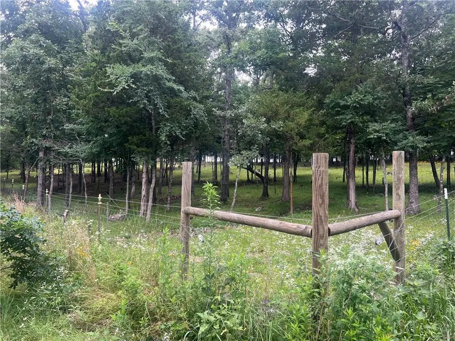 TBD Downing (wc 136) Road, Fayetteville, AR 72701 - #3