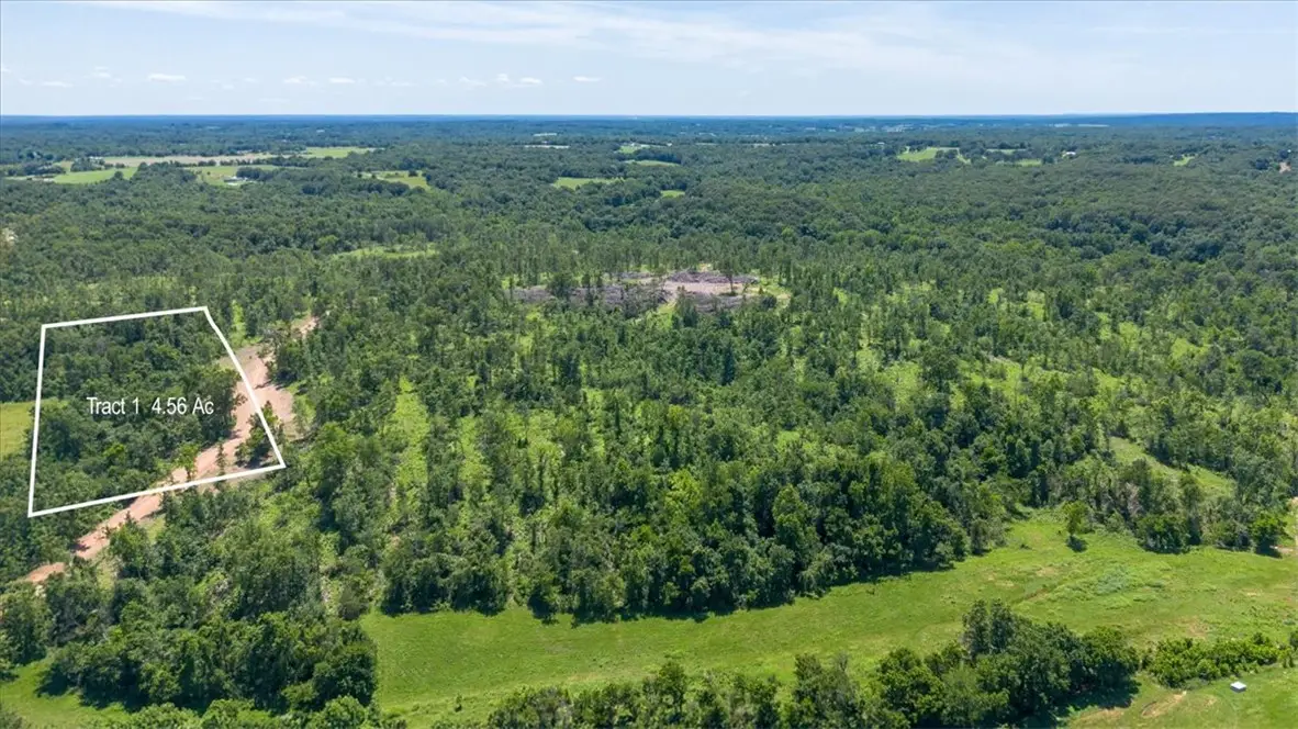 Lot 1 Adams Road, Goodman, MO 64843 - #1
