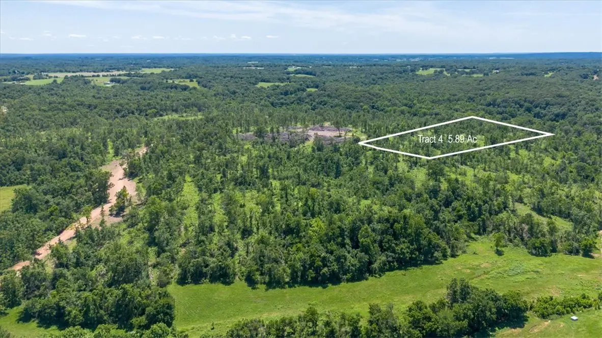 Lot 4 Adams Road, Goodman, MO 64843 - #1