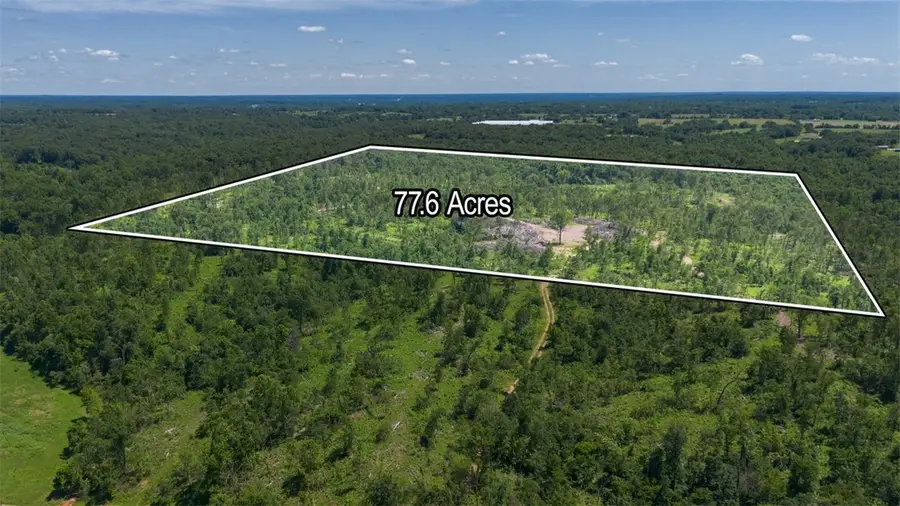 Lot 4 Adams Road, Goodman, MO 64843 - #3