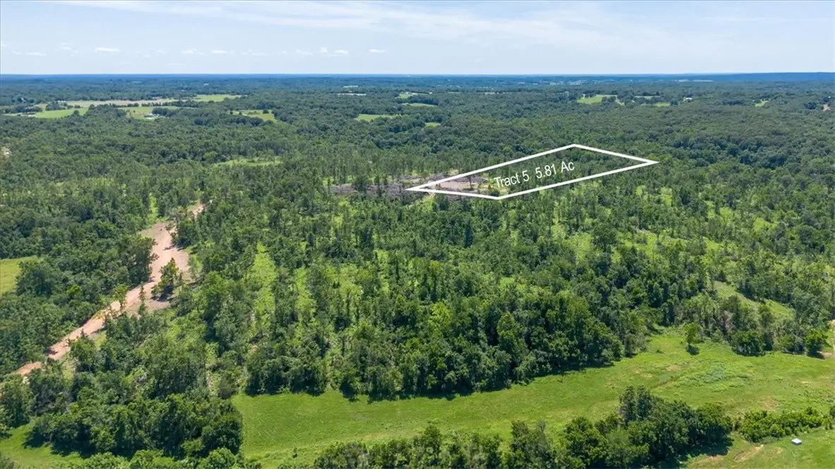 Lot 5 Adams Road, Goodman, MO 64843 - #1