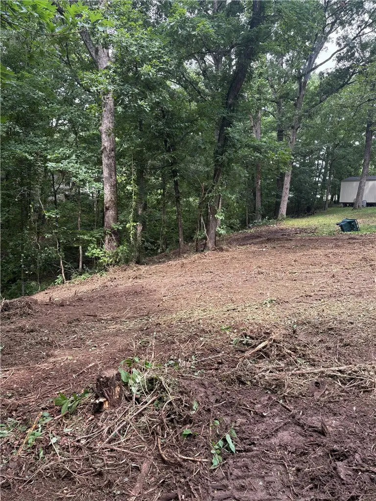 LOT 2 Holme Lane, Bella Vista, AR 72714 - #3