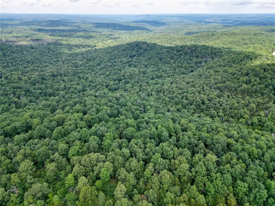 52 Summerfield Creek, North Lebanon, AR 72482 - #2