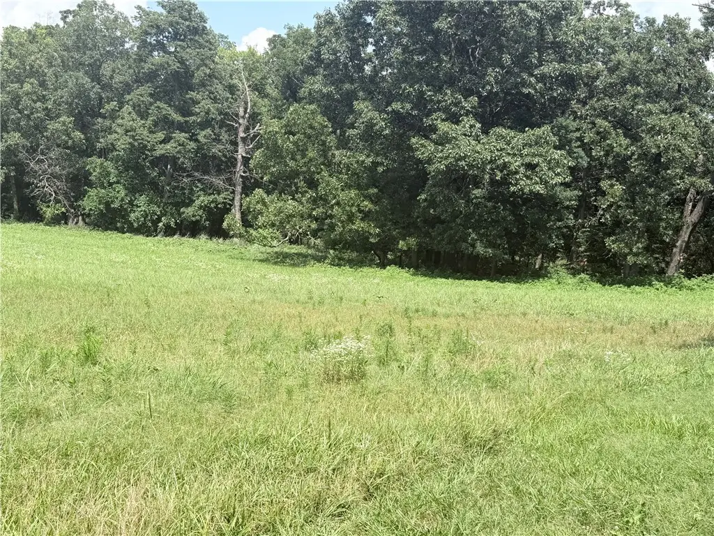 18.42 Acres N Ar 43 Highway, Maysville, AR 72747 - #1