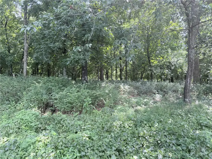 18.42 Acres N Ar 43 Highway, Maysville, AR 72747 - #3