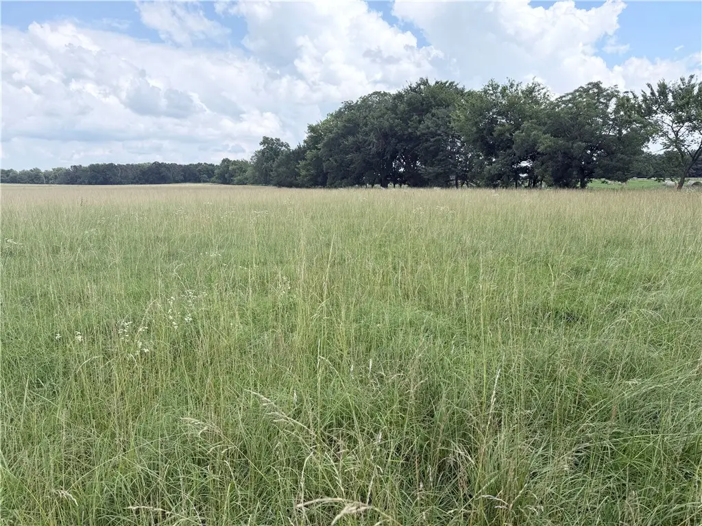 41.49 Acres N Ar 43 Highway, Maysville, AR 72747 - #1