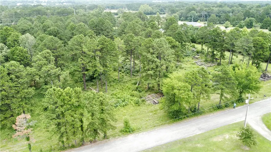 355 Cedar Ridge Loop, Dover, AR 72837 - #3