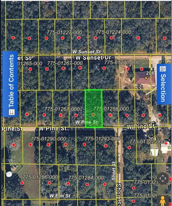 TBD W Pine Street, Lead Hill, AR 72644
