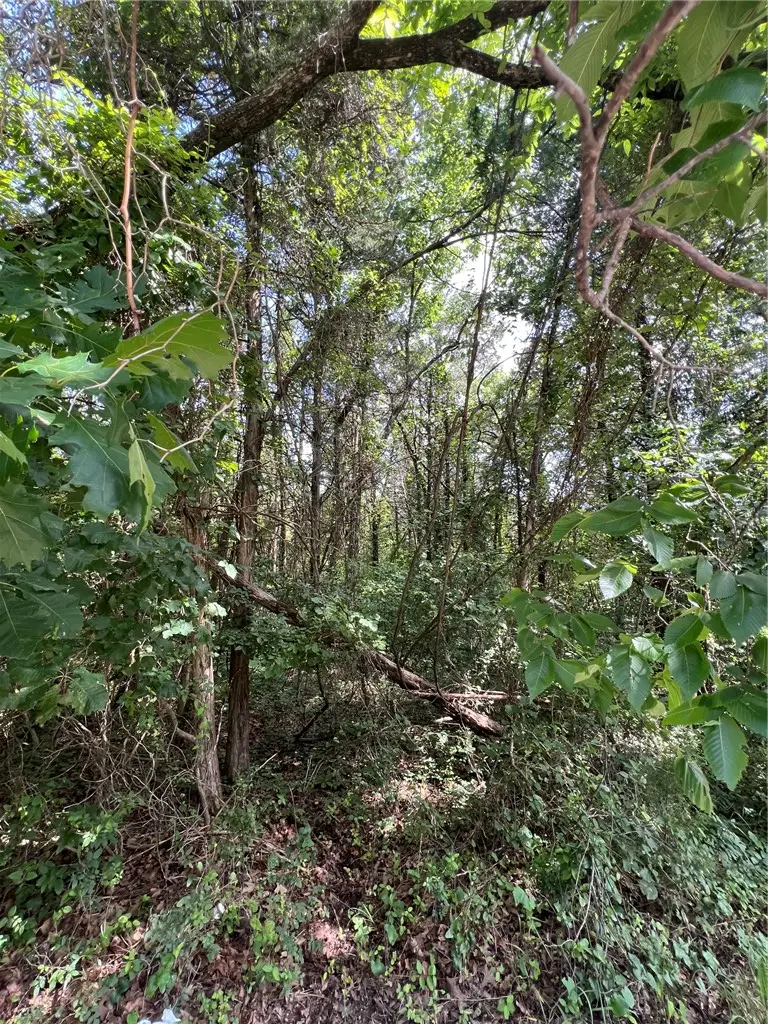 TBD W Pine Street, Lead Hill, AR 72644 - #2