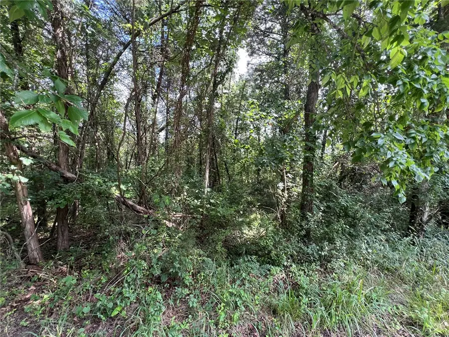 TBD W Pine Street, Lead Hill, AR 72644 - #3