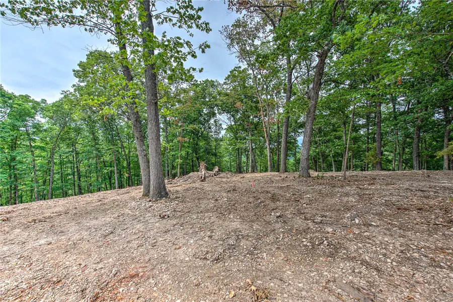 Lot 7 Eagle Cove Road, Eureka Springs, AR 72631 - #3