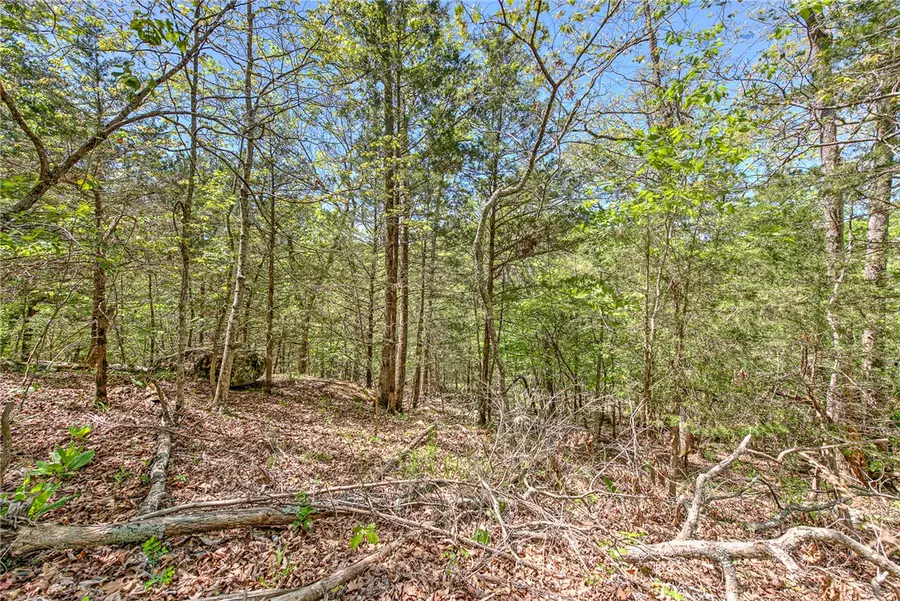 Lot 15 Eagle Cove Road, Eureka Springs, AR 72631 - #2