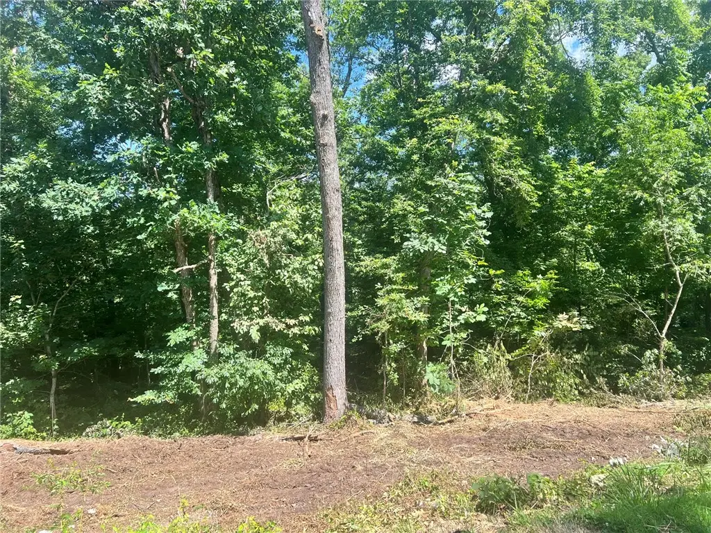 Lot 55 Block 1 Leicester Drive, Bella Vista, AR 72714 - #1