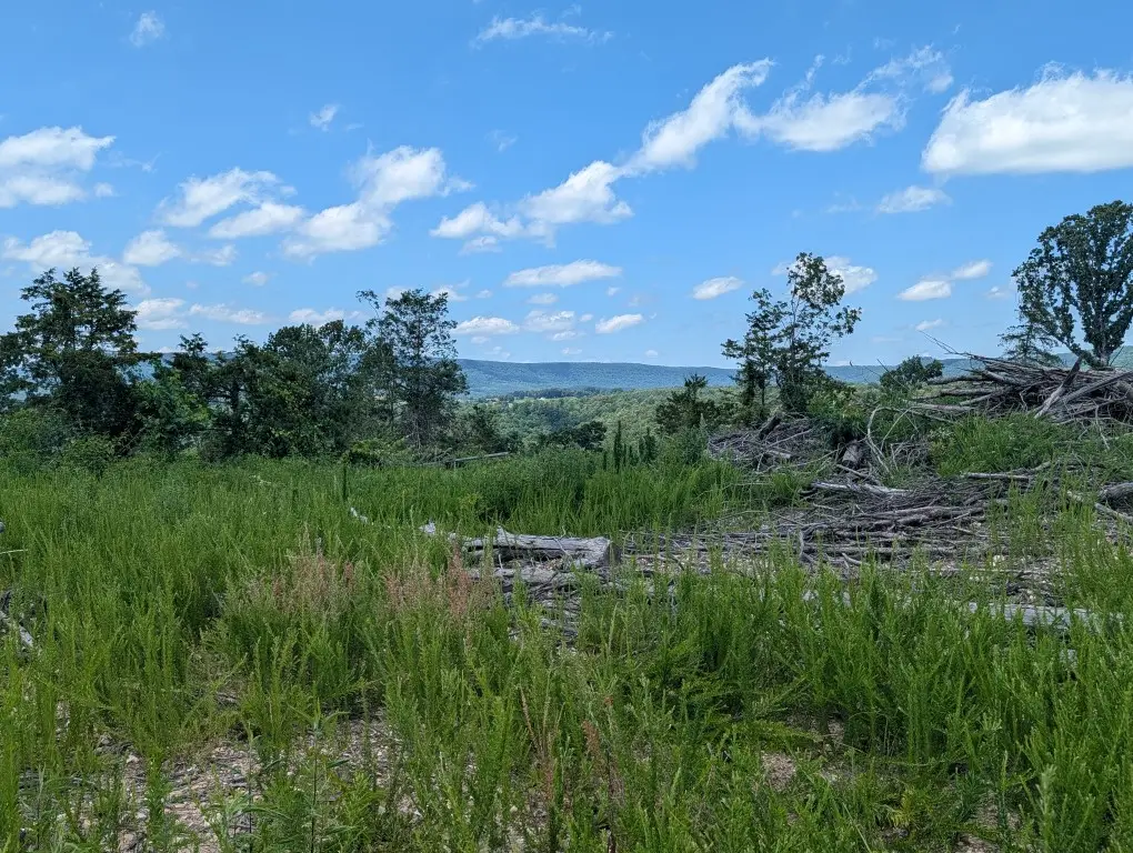 Nc 2900, Marble Falls, AR 72648 - #1