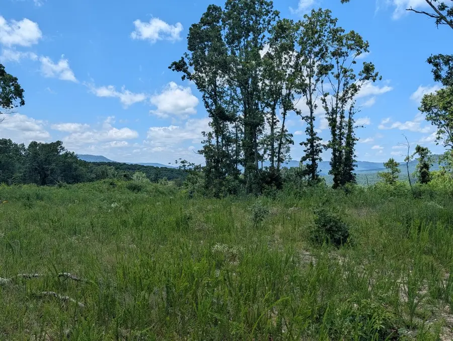 Nc 2900, Marble Falls, AR 72648 - #2