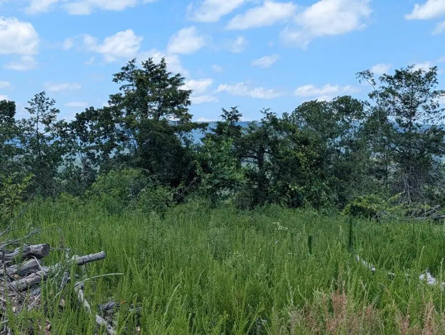 Nc 2900, Marble Falls, AR 72648 - #3