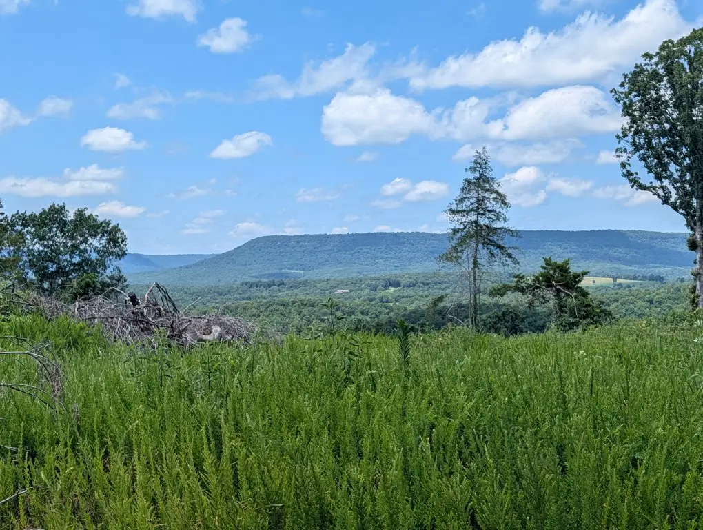 Nc 2900, Marble Falls, AR 72648 - #1