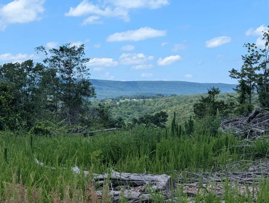 Nc 2900, Marble Falls, AR 72648 - #3