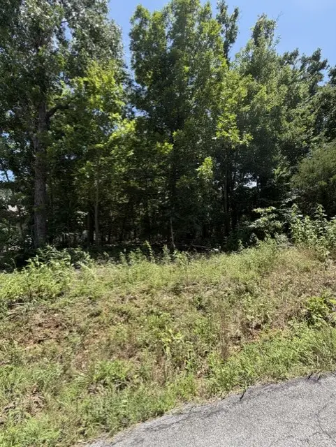 19 Dornoch Lane, Bella Vista, AR 72715 - #3