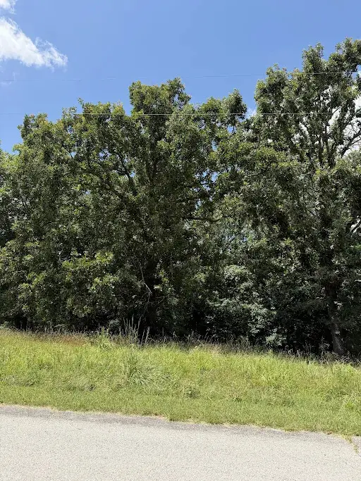 Lot 6 Titleist Lane, Rogers, AR 72756 - #1