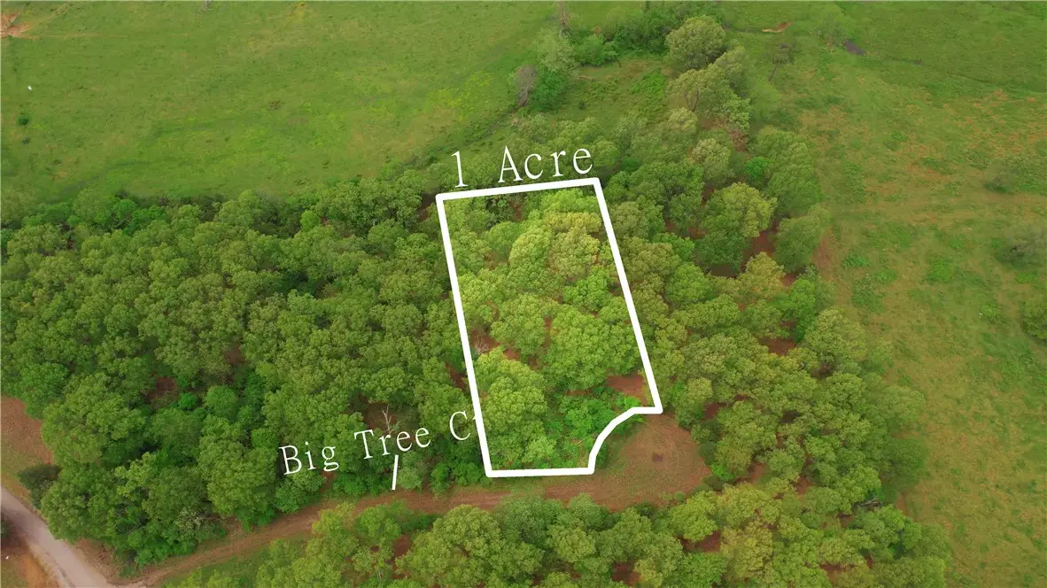 43 Big Tree Court, Elizabeth, AR 72531 - #1