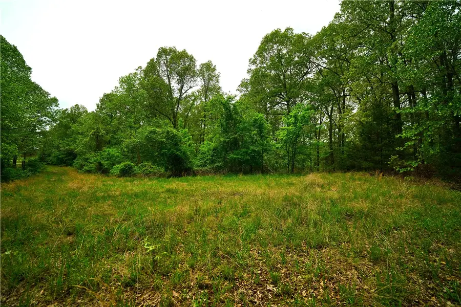 43 Big Tree Court, Elizabeth, AR 72531 - #3