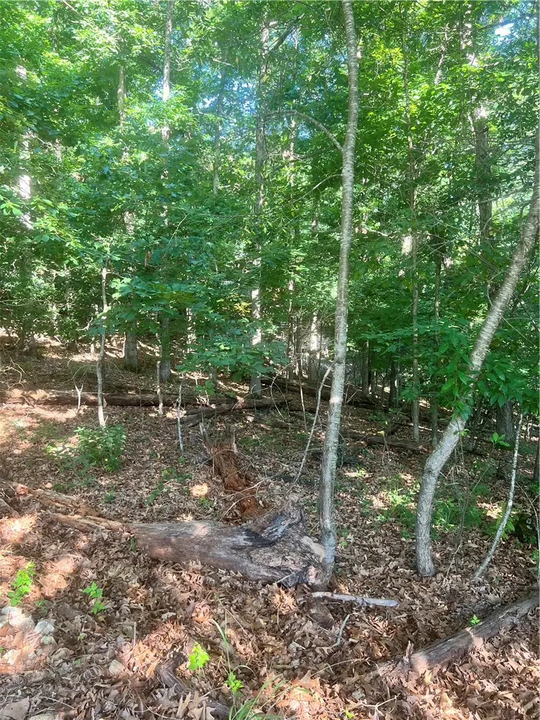 Lot 17 Cherhill Drive, Bella Vista, AR 72714 - #1