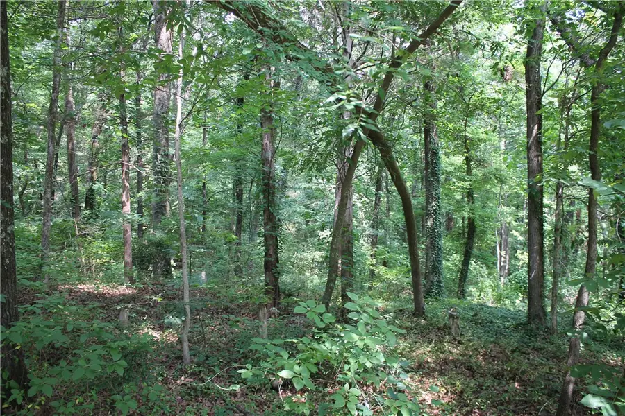 Lots 42 & 43 Craigwood Circle, Russellville, AR 72801 - #3