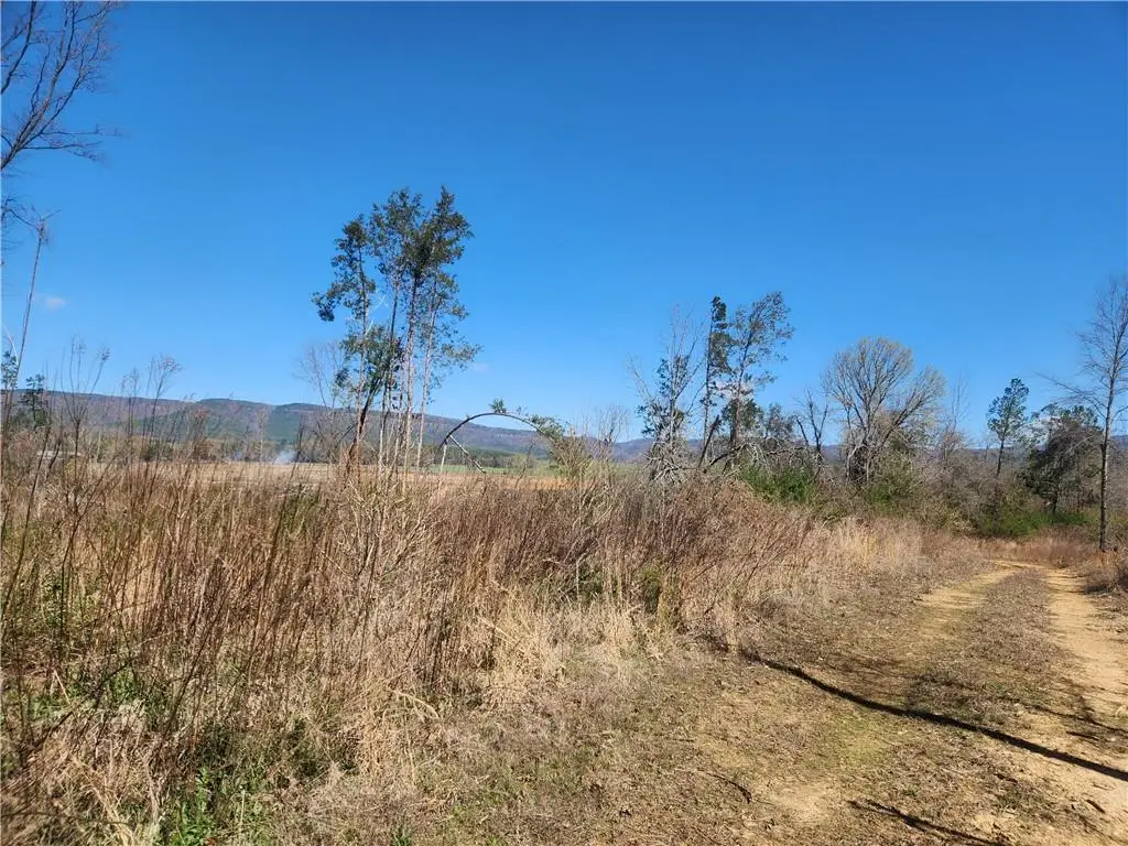 State Hwy 164, Clarksville, AR 72830 - #1