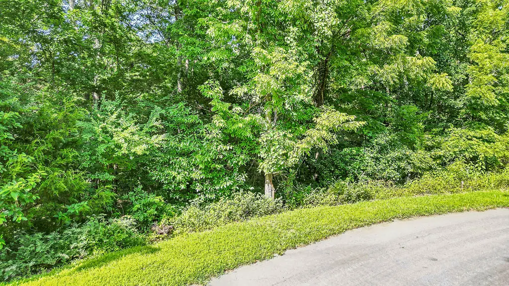 Baston Lane, Bella Vista, AR 72715 - #1