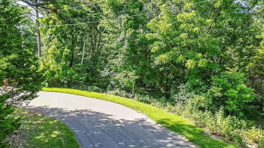 Baston Lane, Bella Vista, AR 72715 - #2