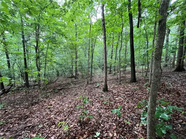 Lot 28, Block 2 N Moors Lane, Bella Vista, AR 72714